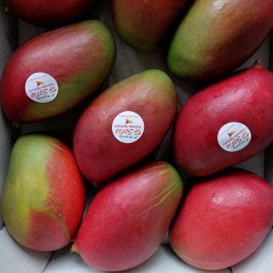 Mango Siciliano
