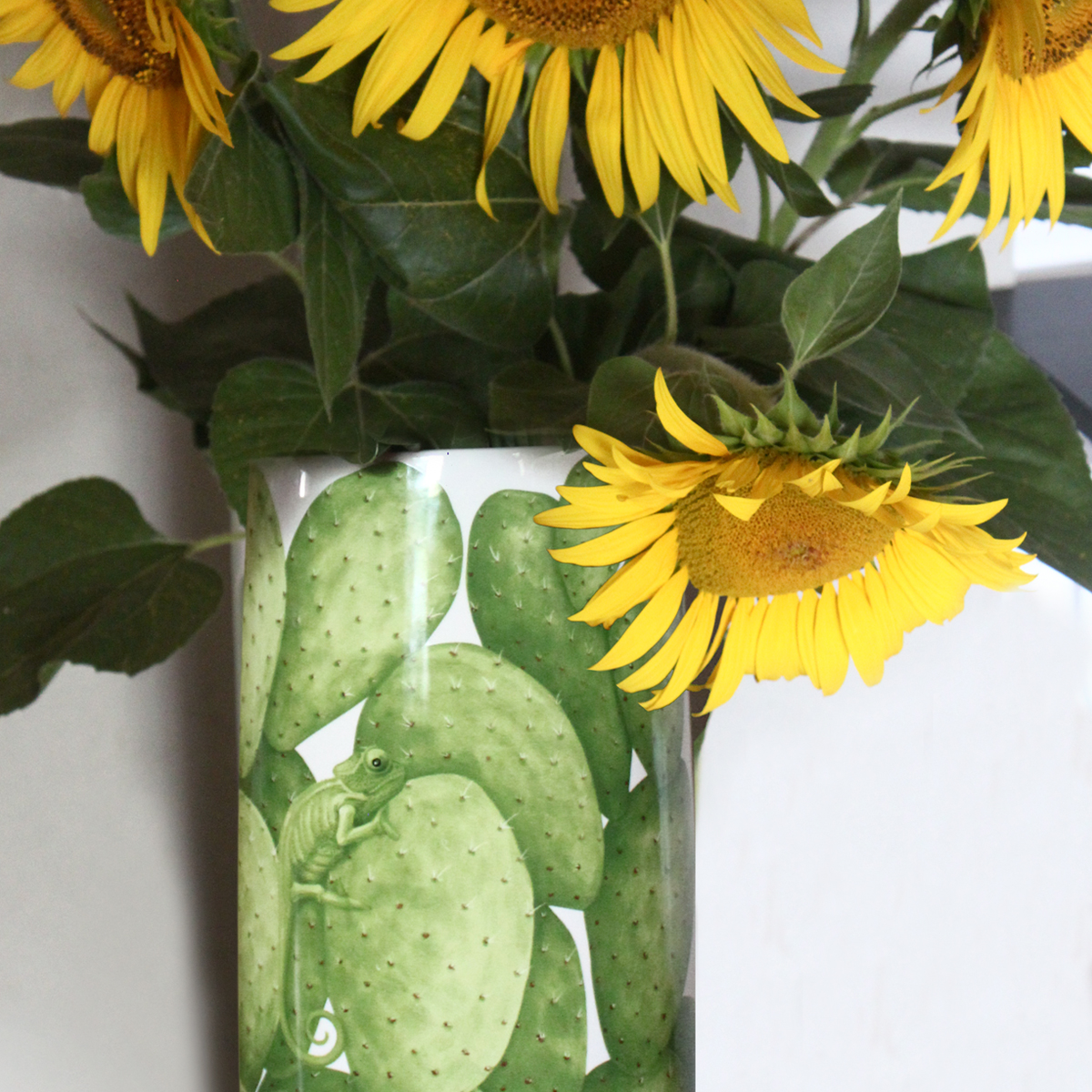 Taitù Bouquet-Cactus Vaso - immagine 4