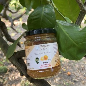 Marmellata di arance di Sicilia