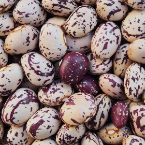 Fagioli Borlotti Secchi dell’Appennino Laziale