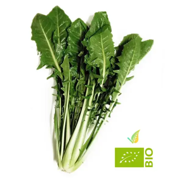 Cicoria Biologica 800g - immagine 2