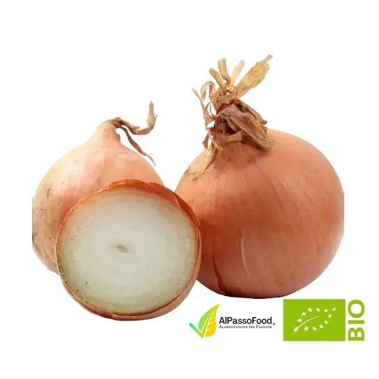 Cipolla Bionda Dorata Biologica 800g