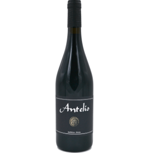 Camerlengo – Antelio 2018