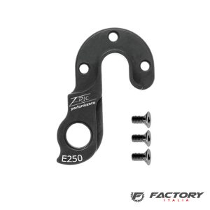 Forcellino cambio E250 Eric Performance