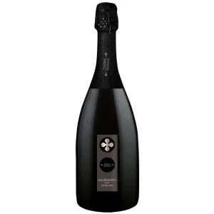 Spumante Millesimato Extra Dry Terra Vizina cl 75