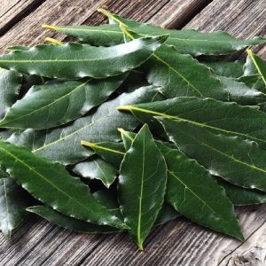 Alloro vaschetta gr. 40