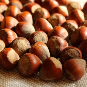 Nocciole Biologiche in Guscio – Tonda Gentile Romana