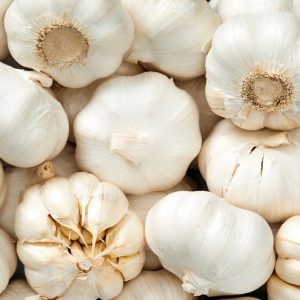 Aglio