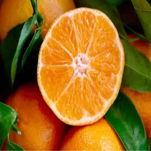 Clementine Biologiche