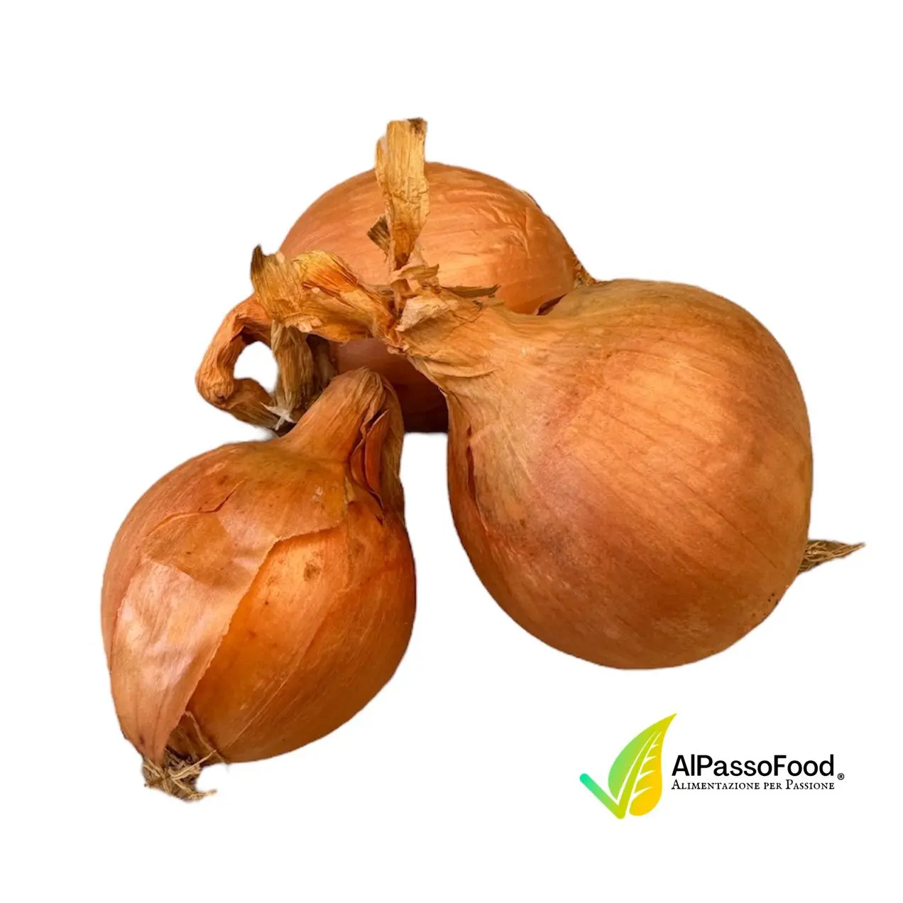 Cipolla Bionda Dorata Biologica 800g - immagine 3