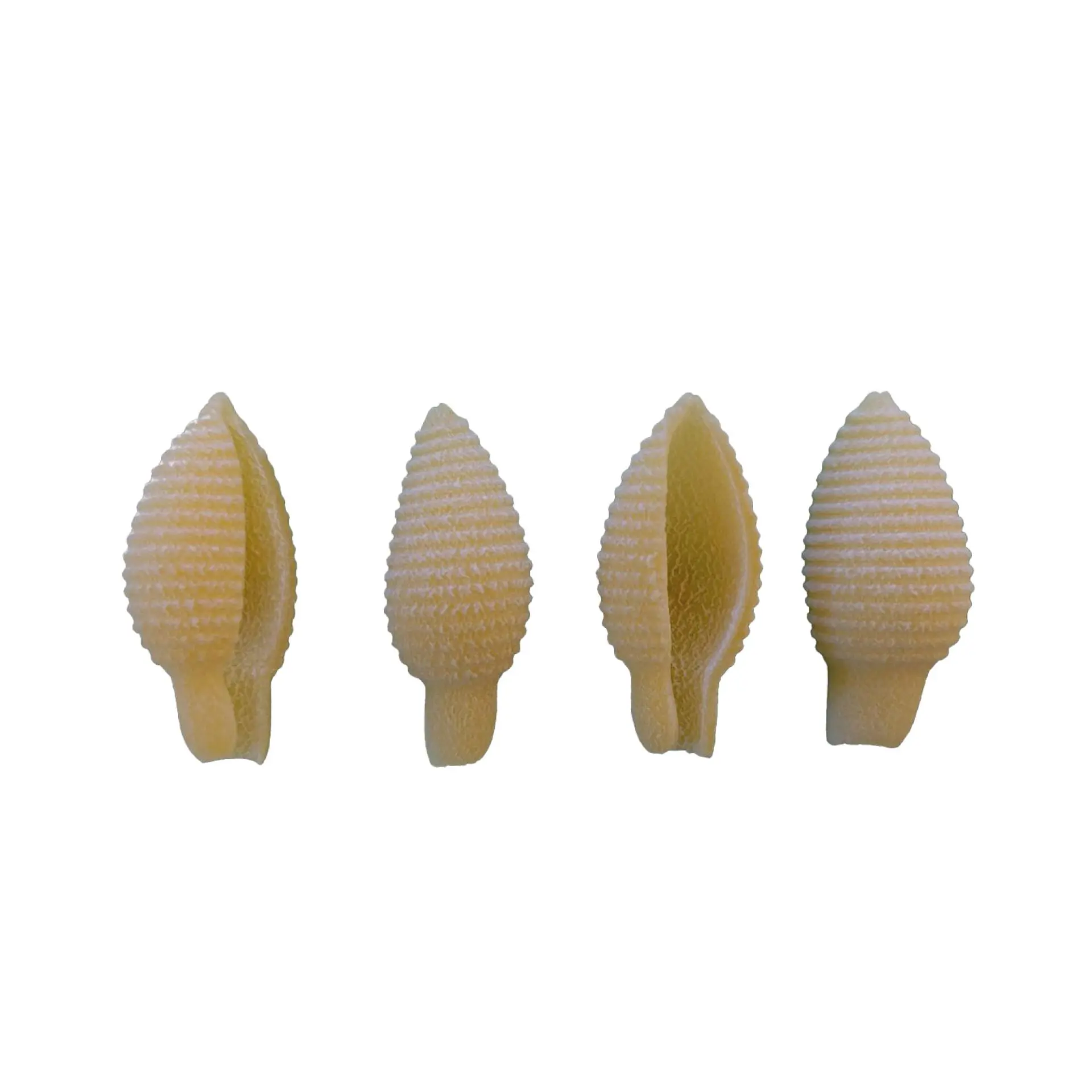 I Cipressini Senatore Cappelli® Biologico 300g - immagine 4