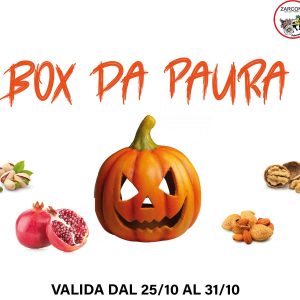 BOX HALLOWEEN