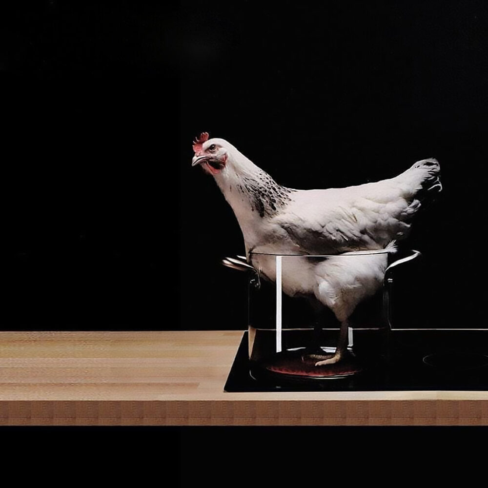 KnIndustrie GlassPot Pentola in Vetro - immagine 4