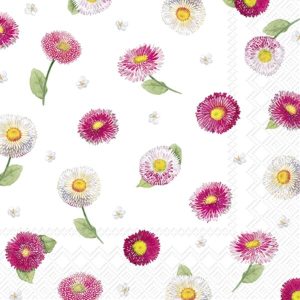 IHR Schonhuber Tovaglioli di Carta Bellies Allover