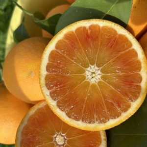 Box Arance Tarocco Bio