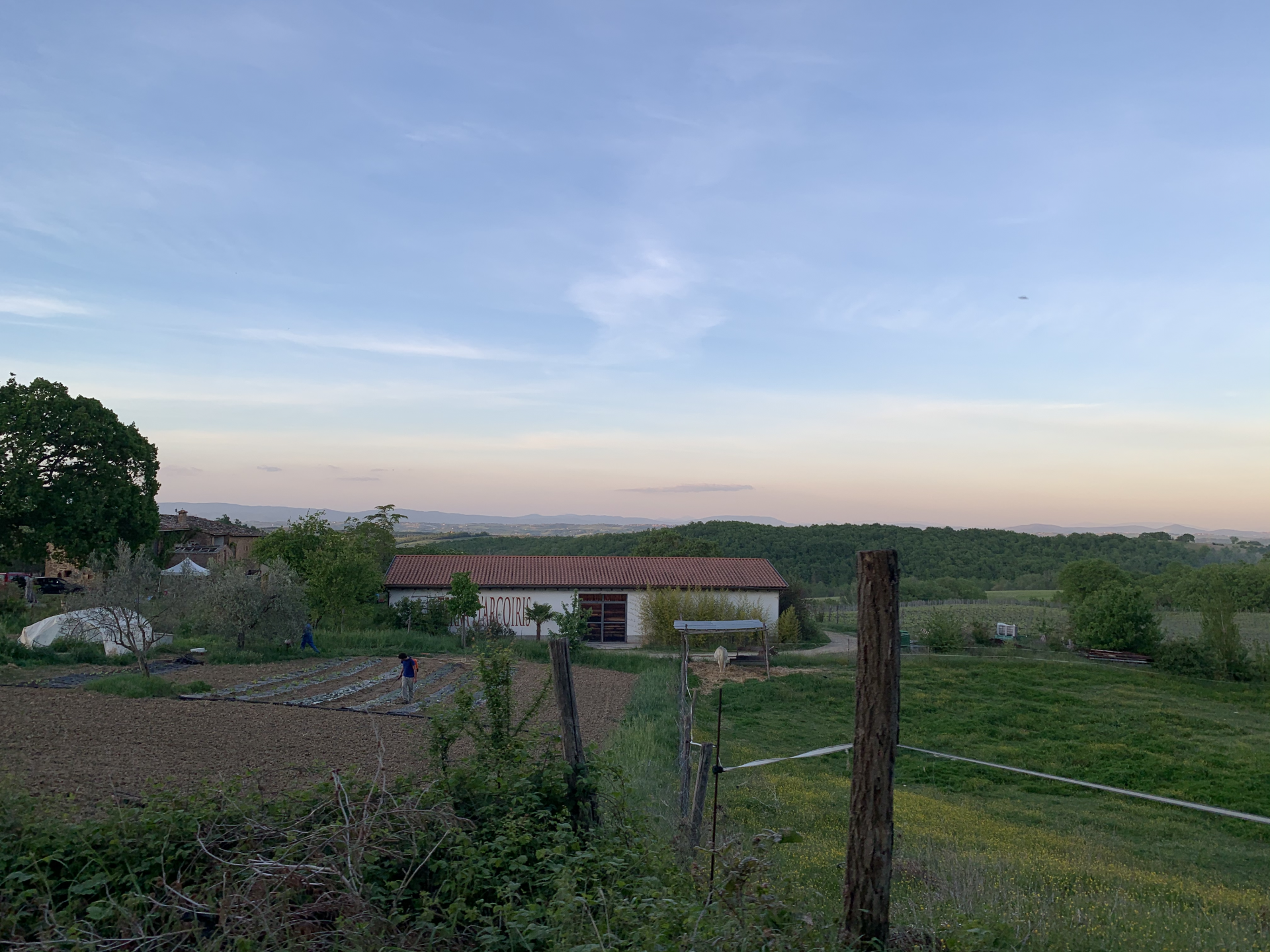 Succo di Mele Biologico 1L - immagine 5